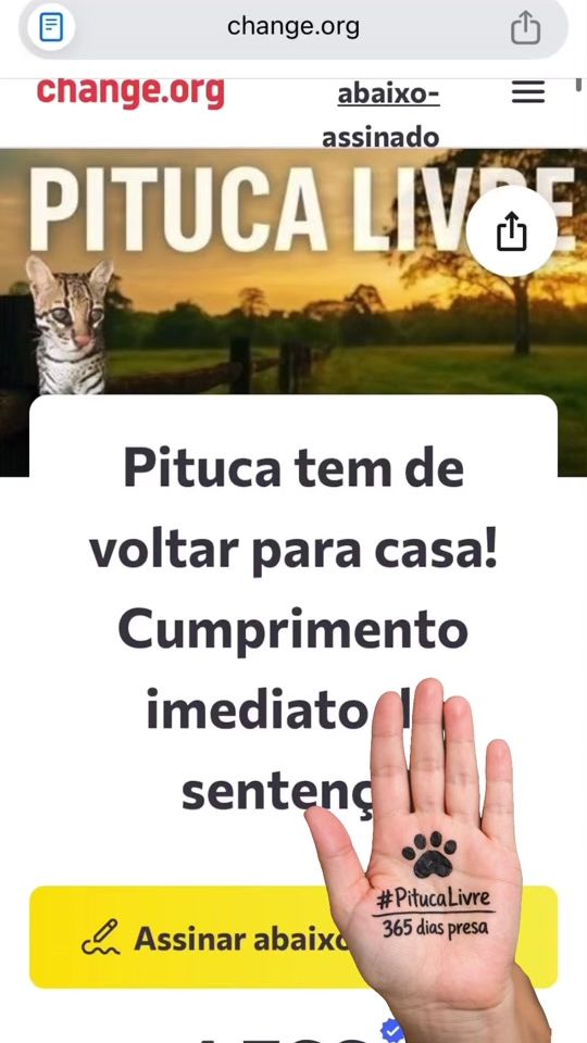 TikTok video thumbnail by bettypt_
