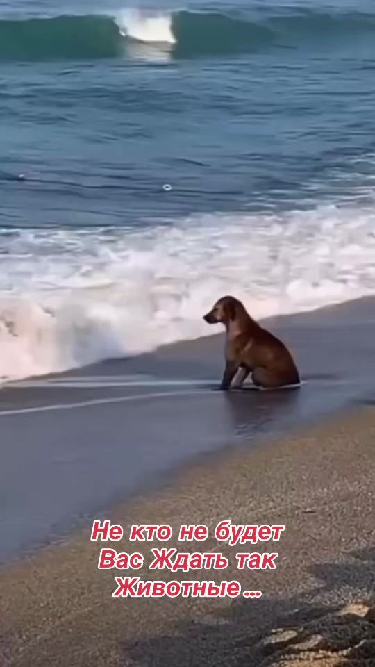 TikTok video thumbnail by ludmilagordienko8
