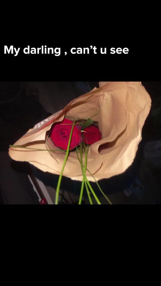 TikTok video thumbnail by hanni4487
