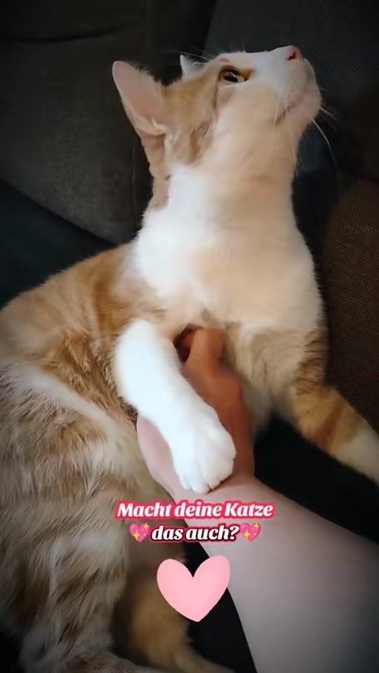 TikTok video thumbnail by _hejdine_