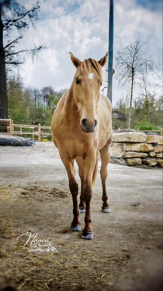 TikTok video thumbnail by nanouraconte