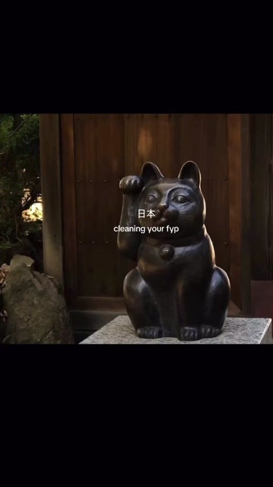 TikTok video thumbnail by quietlife78