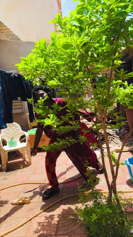 TikTok video thumbnail by fansmahden