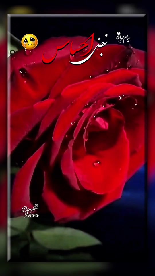 TikTok video thumbnail by bam.nawa