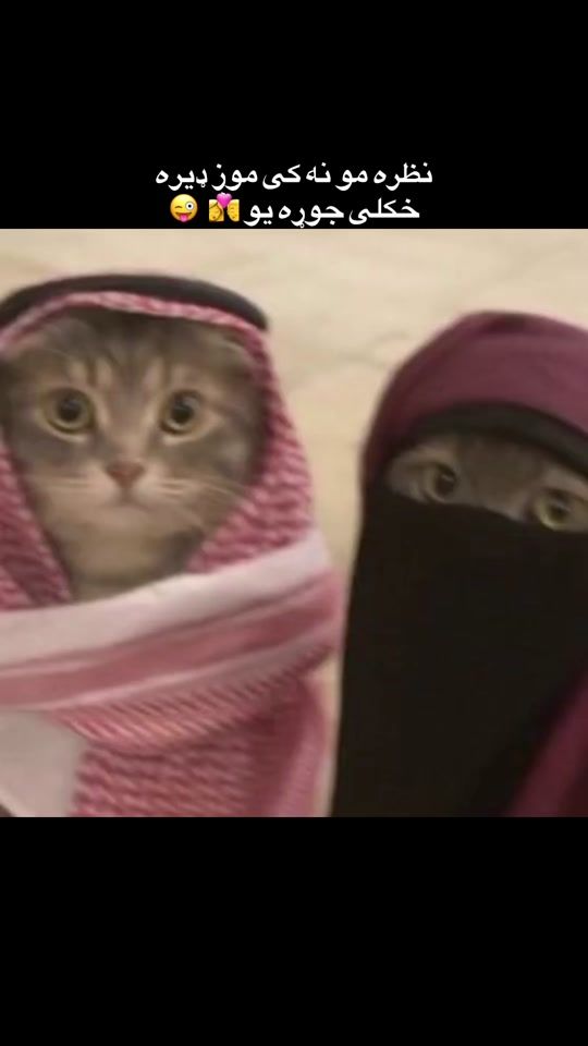 TikTok video thumbnail by afghane98