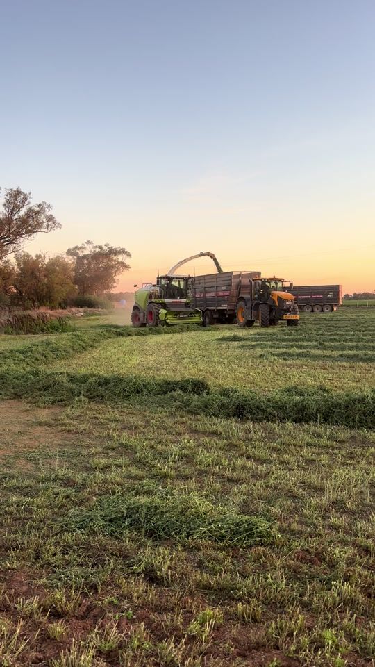 TikTok video thumbnail by liamcurran08