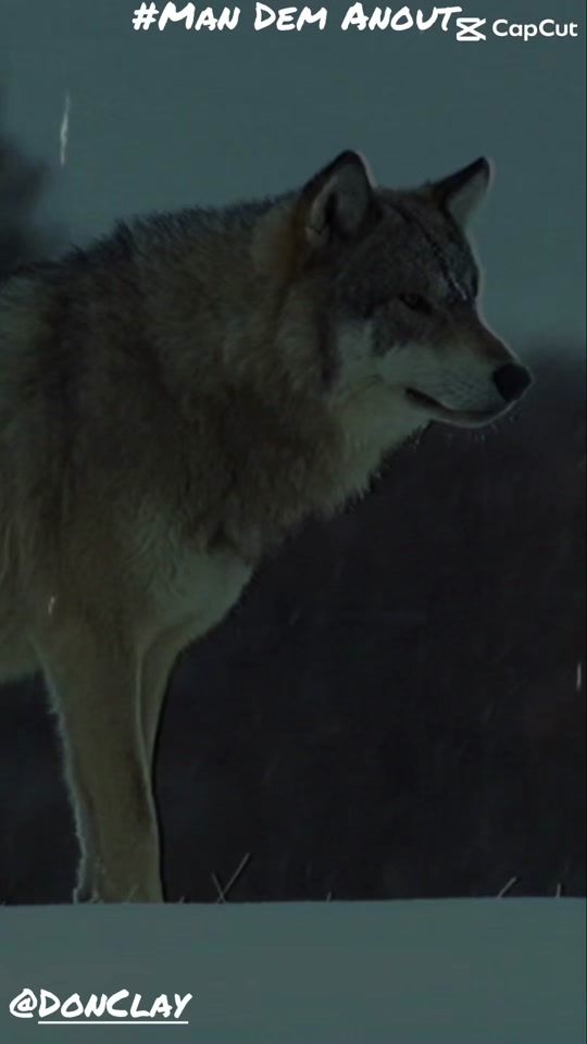 TikTok video thumbnail by teamclay_1