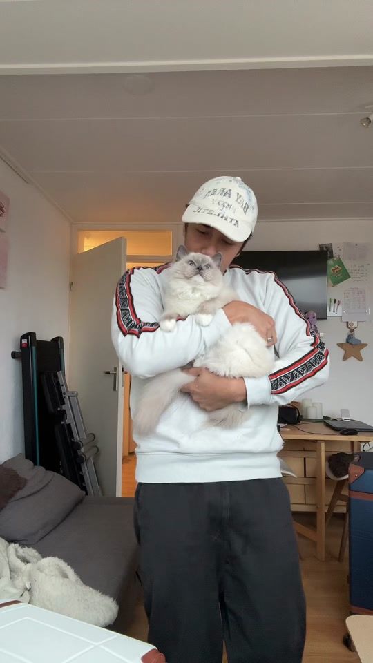 TikTok video thumbnail by philarphilafel