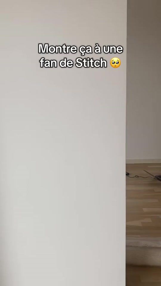 TikTok video thumbnail by stitchlovers.fr