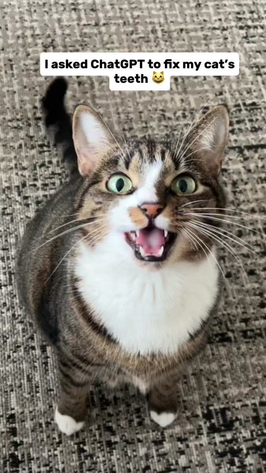 TikTok video thumbnail by oh_my_cat