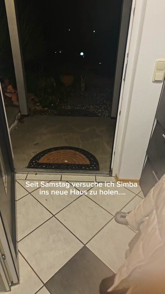 TikTok video thumbnail by sunny_love_cats