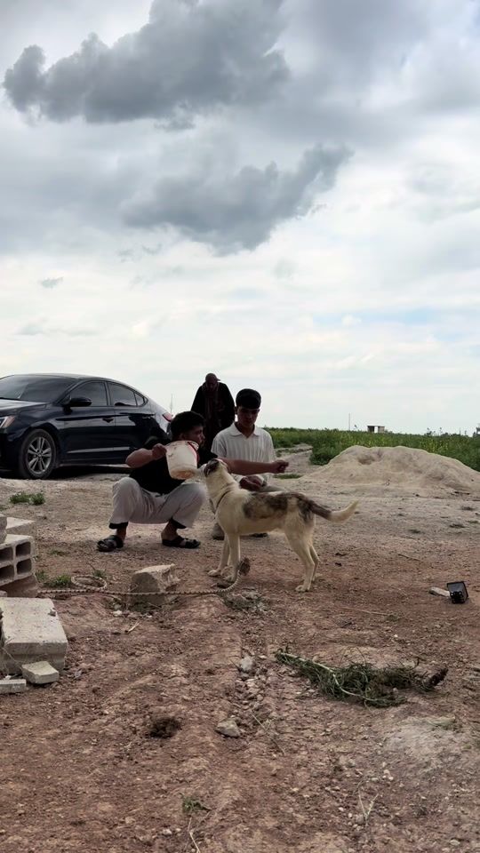 TikTok video thumbnail by 0klil