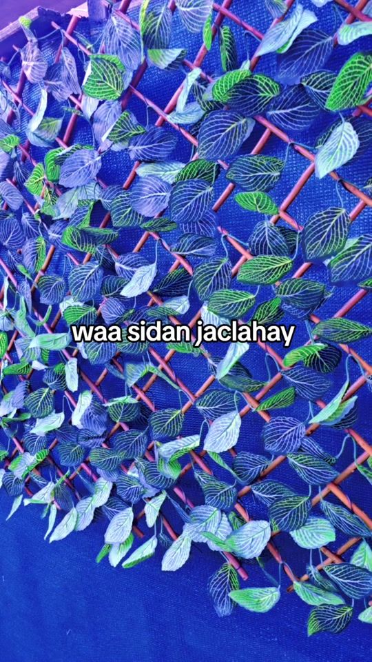 TikTok video thumbnail by ruumkitchen