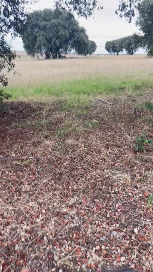 TikTok video thumbnail by diego_milla0