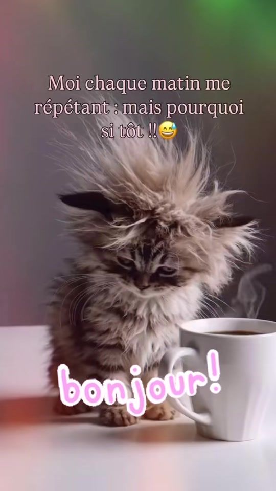 TikTok video thumbnail by didier_anonymous1962