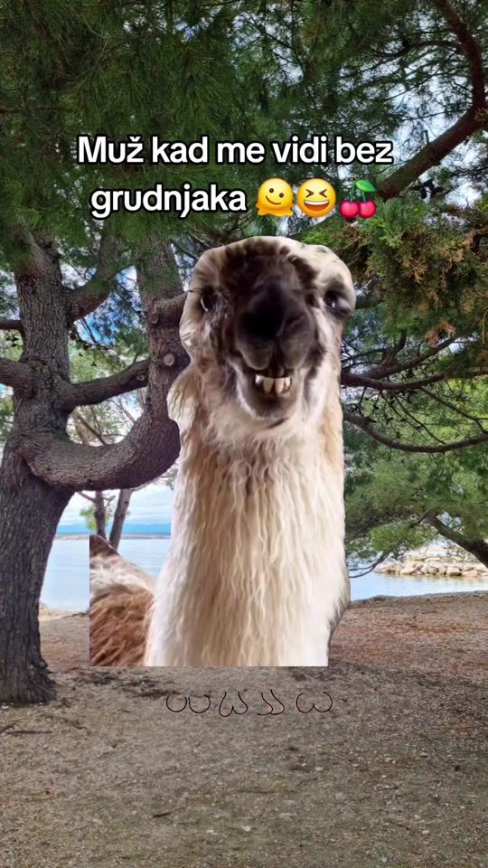 TikTok video thumbnail by mrs_.b