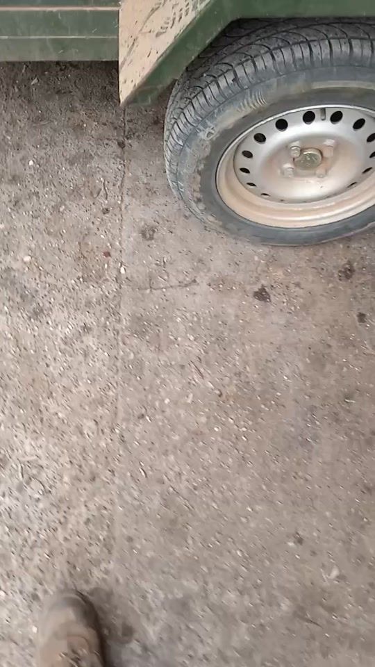 TikTok video thumbnail by davidterrible