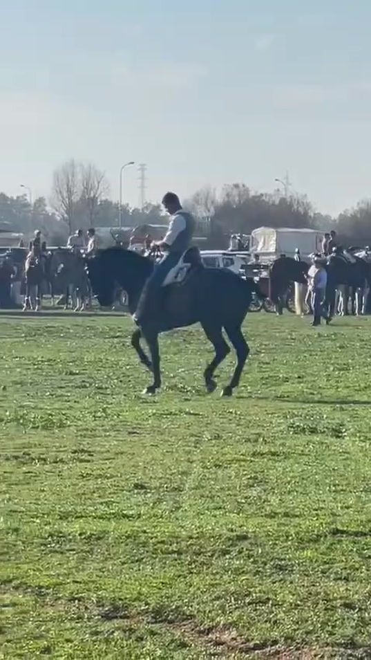 TikTok video thumbnail by caballos_at