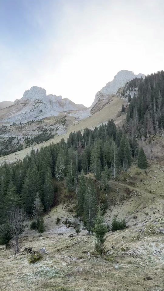 TikTok video thumbnail by chaletslynxmountain