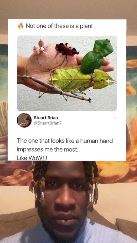TikTok video thumbnail by dudebroke