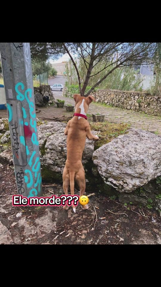 TikTok video thumbnail by _rafa_02_