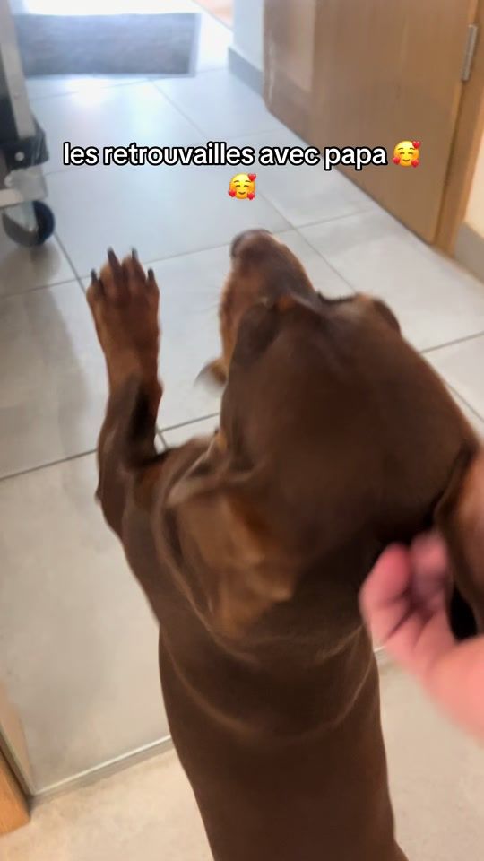 TikTok video thumbnail by mayateckel