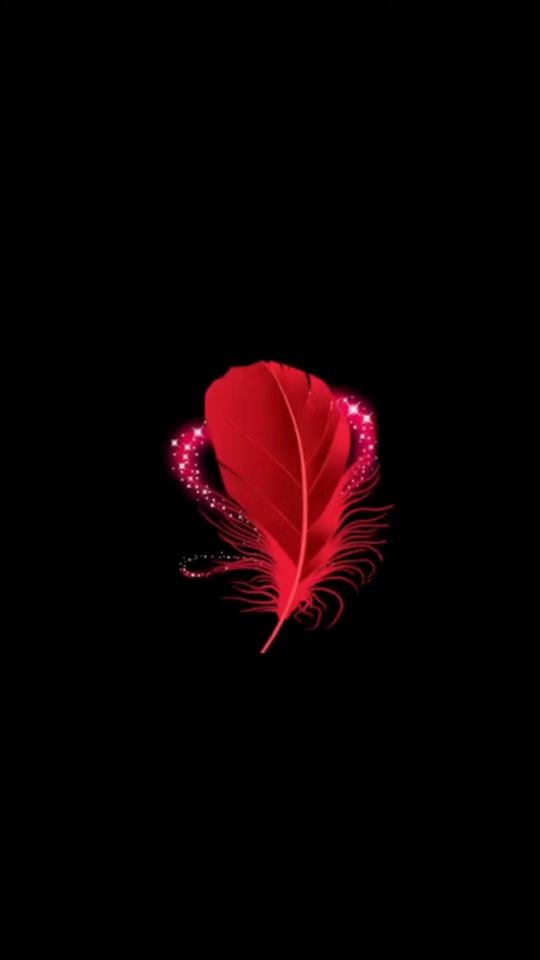 TikTok video thumbnail by kathymarj