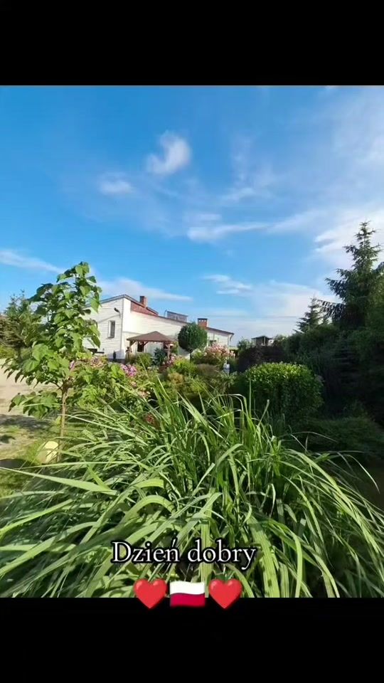 TikTok video thumbnail by halina.p25