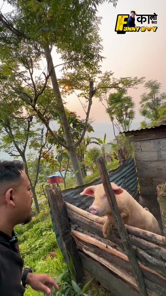 TikTok video thumbnail by reasonido