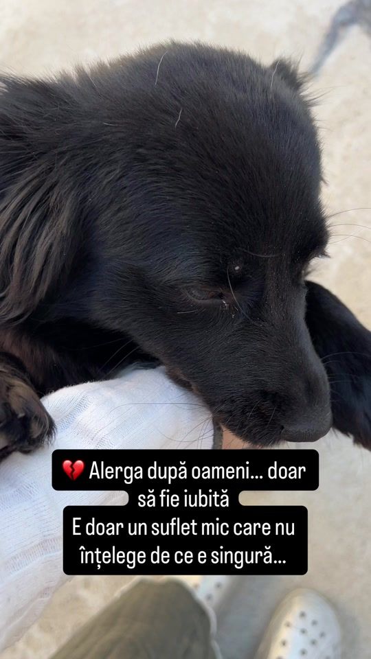 TikTok video thumbnail by simevalentina