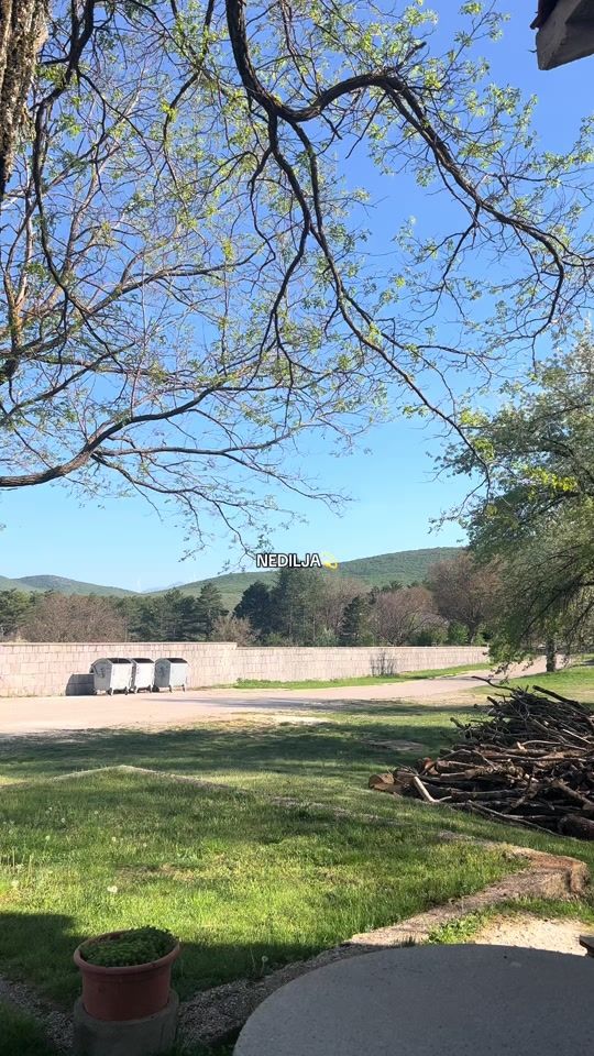 TikTok video thumbnail by mrs_maras