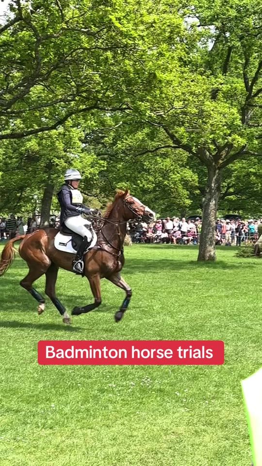 TikTok video thumbnail by emmamichael715