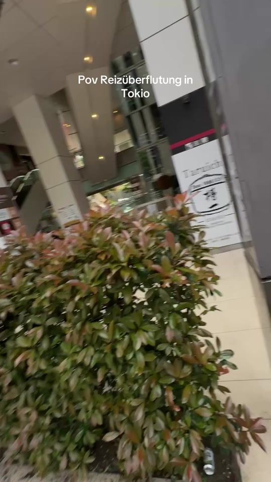 TikTok video thumbnail by tonihoepfner