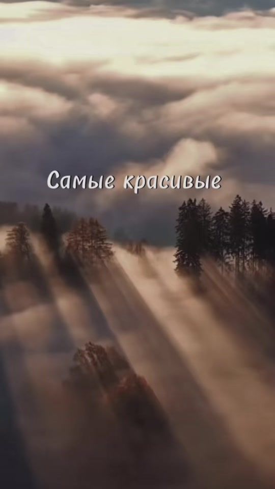 TikTok video thumbnail by ol28.19