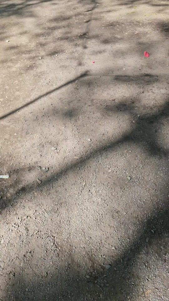 TikTok video thumbnail by arabische.musik5