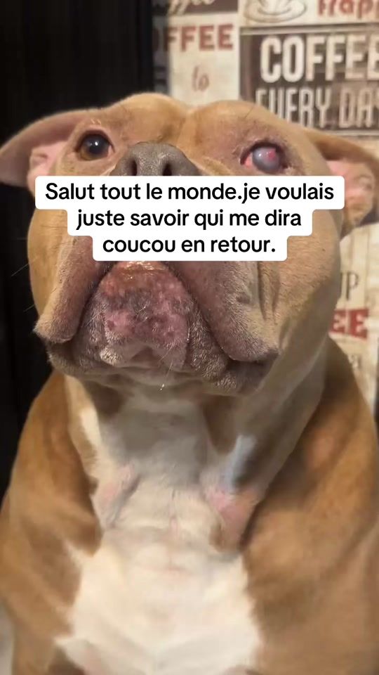 TikTok video thumbnail by kaysonleboss