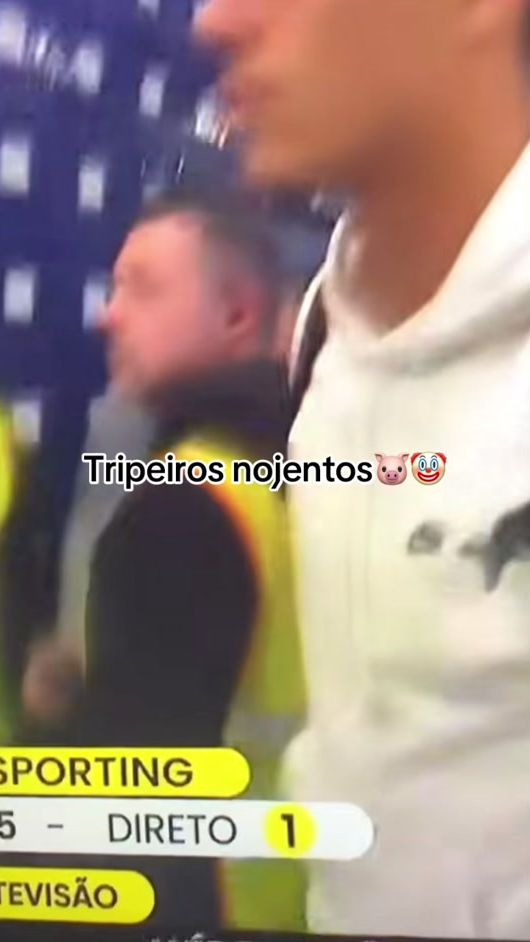 TikTok video thumbnail by feitodesorting