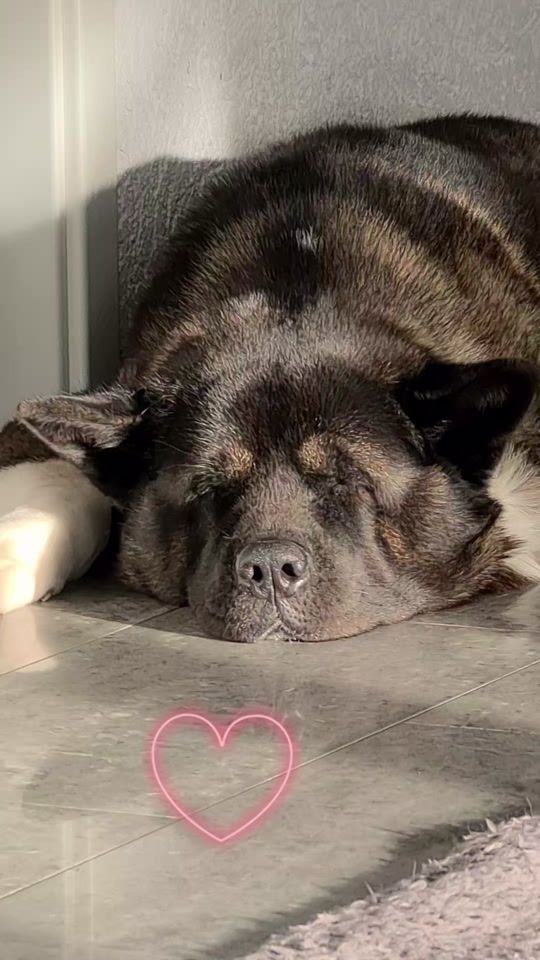 TikTok video thumbnail by marie1975germ