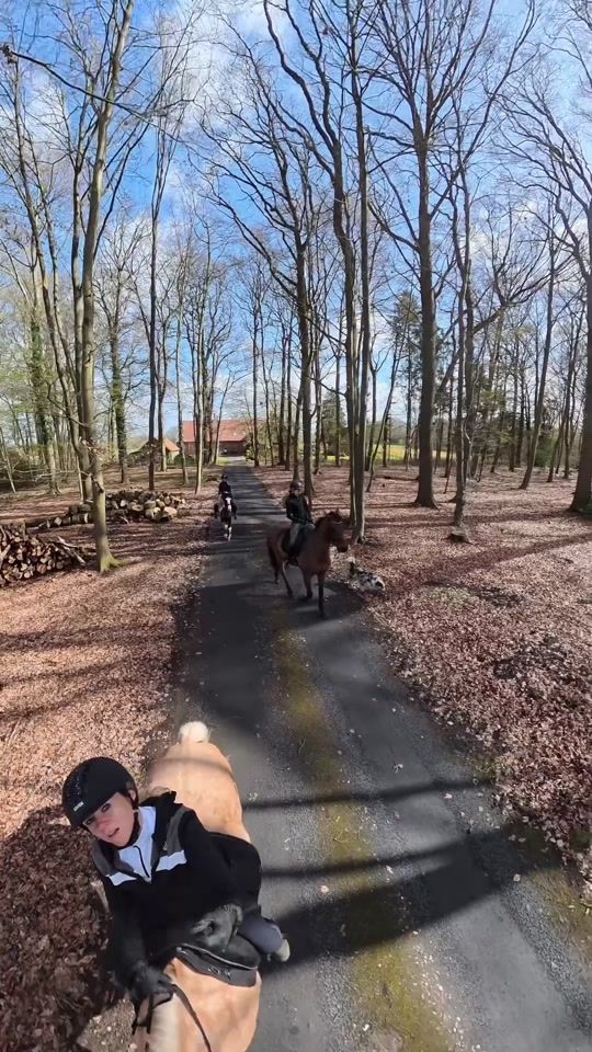 TikTok video thumbnail by chaos_tinker