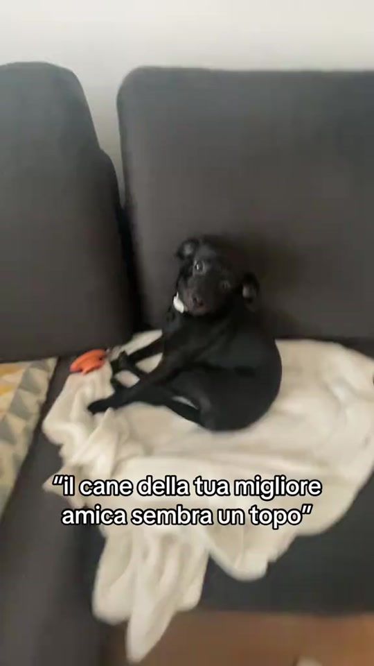 TikTok video thumbnail by nicoefedee