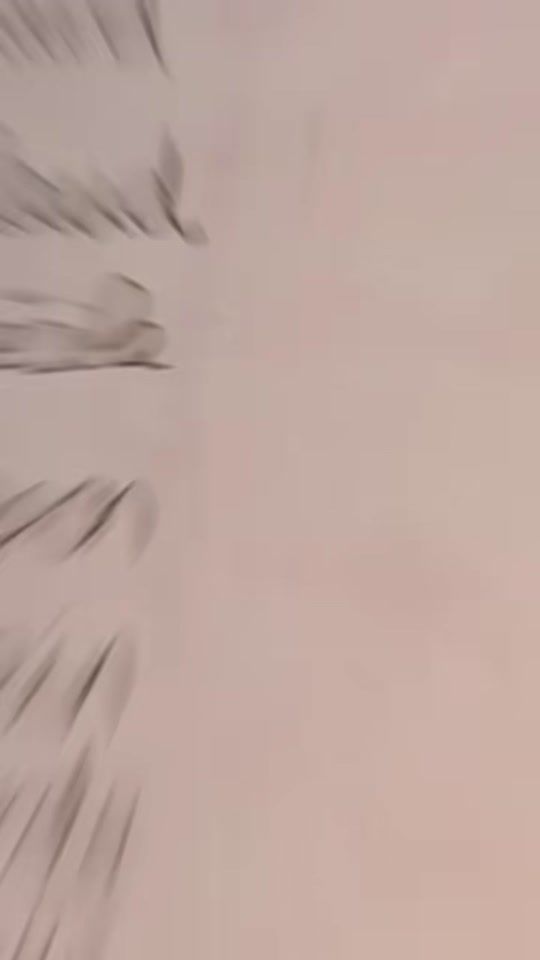 TikTok video thumbnail by pooortugal