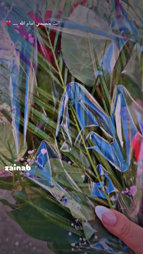 TikTok video thumbnail by .z.iq0