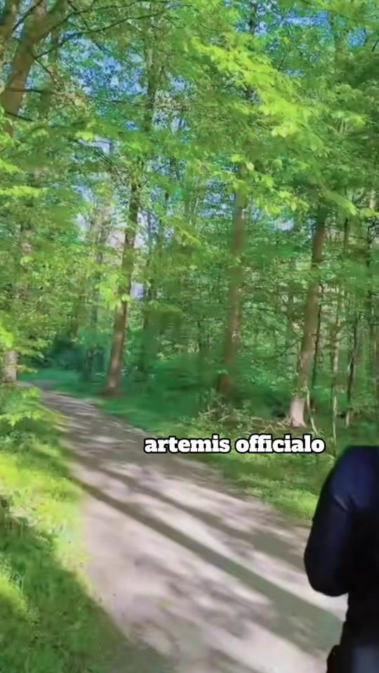 TikTok video thumbnail by artemis_official0