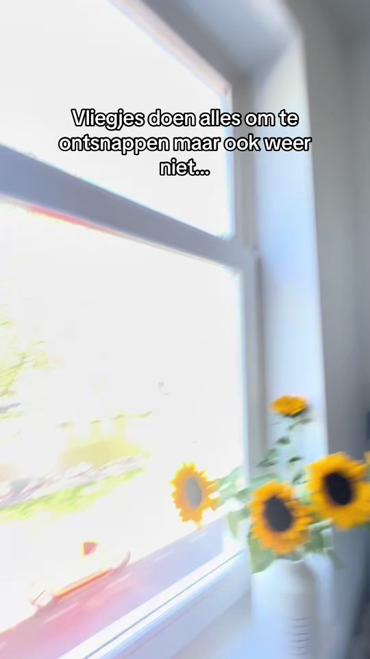 TikTok video thumbnail by maxcole_