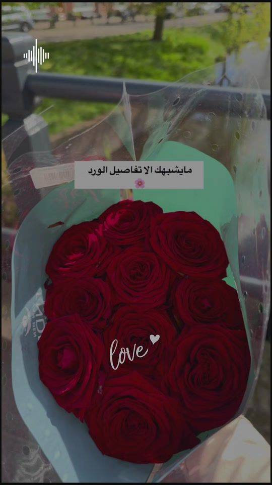 TikTok video thumbnail by hadildesign