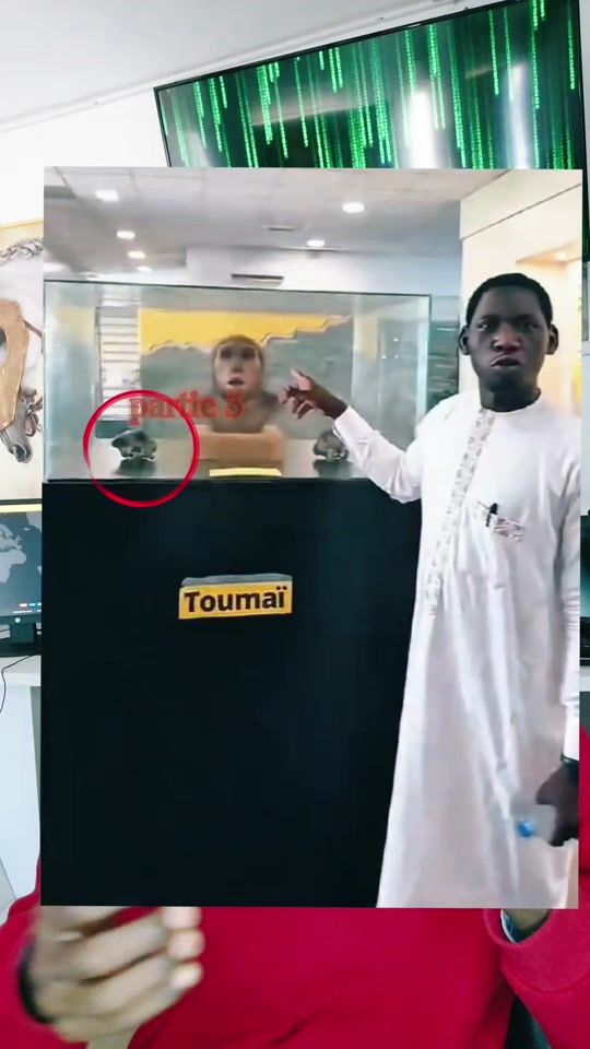 TikTok video thumbnail by algoni.2
