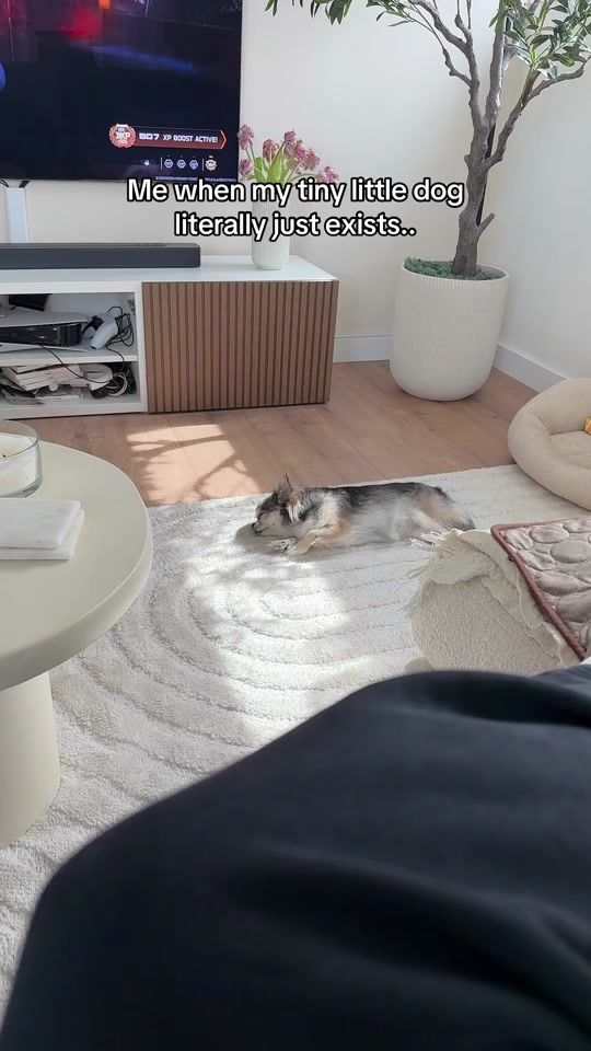 TikTok video thumbnail by iamjenwhite.ugc