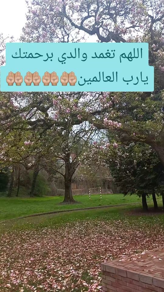 TikTok video thumbnail by naima.lintzen