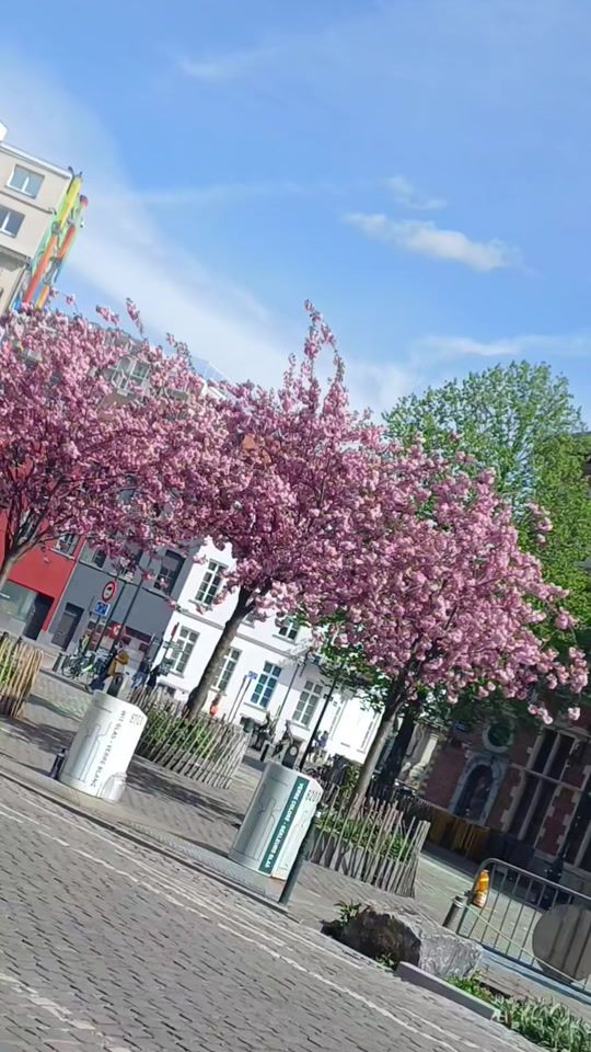 TikTok video thumbnail by ussgha2701