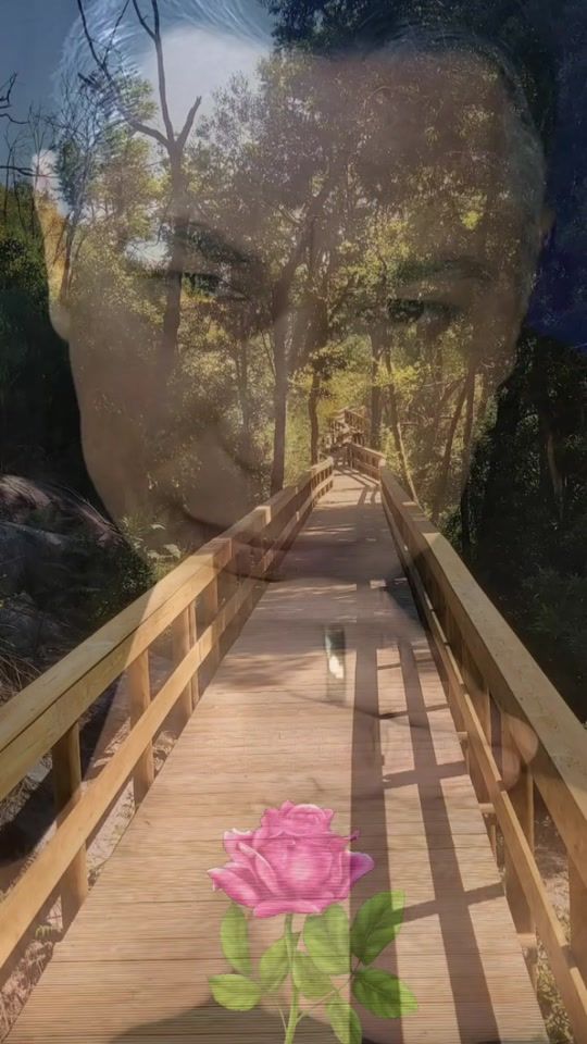 TikTok video thumbnail by domingosfelgueira